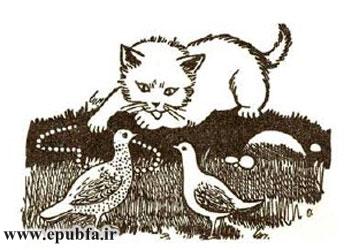 گربه روزهدار-قصههای کِلیلهودِمنه برای بچههای خوب-ایپابفا